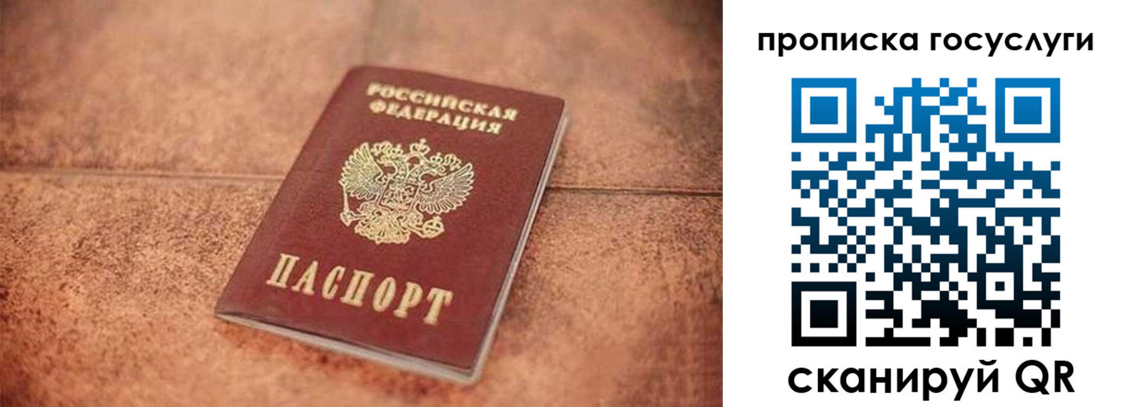 прописка законно в Шелехове